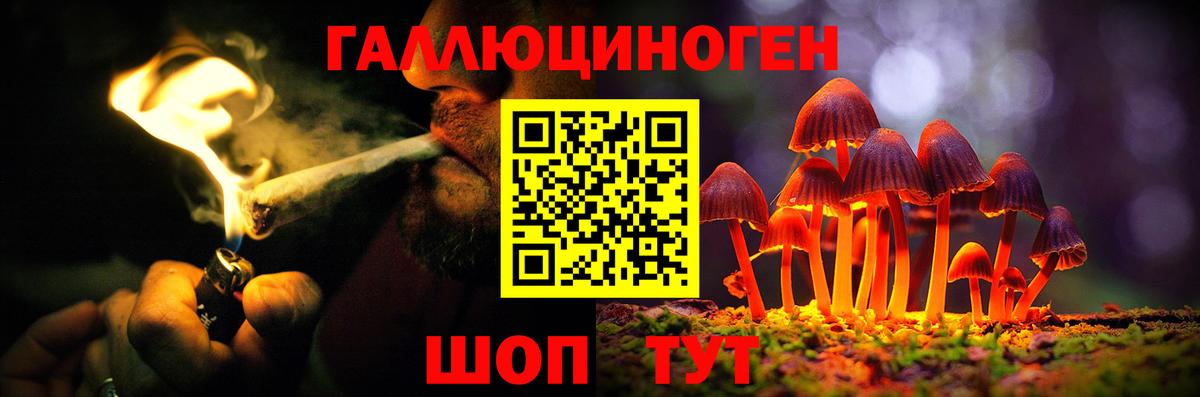 Галлюциногенные грибы Psilocybine cubensis  Вход с VPN  Чернушка  даркнет сайт  Псилоцибиновые грибы MAGIC MUSHROOMS 